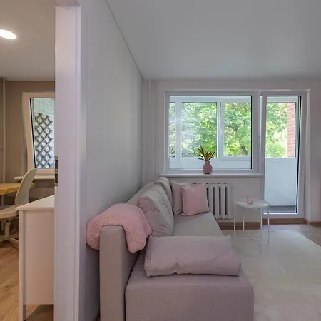 Convenient With Balcony By Polo Kaunas
